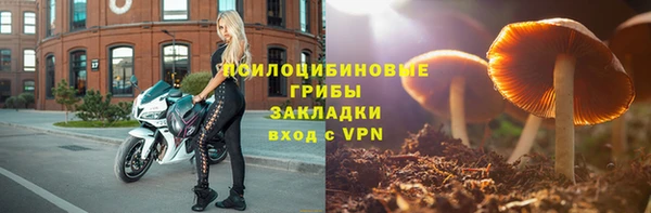 стафф Богданович