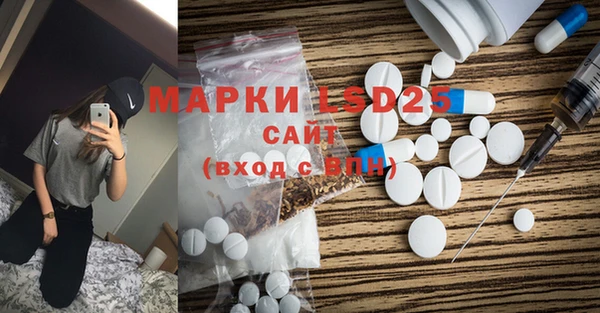 гашик Осинники