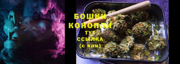 ПСИЛОЦИБИНОВЫЕ ГРИБЫ Баксан