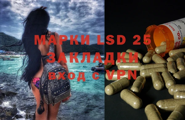 стафф Богданович